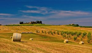 cooperative agricole